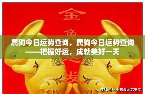 属狗今日运势详解，把握好运，开启美好一天
