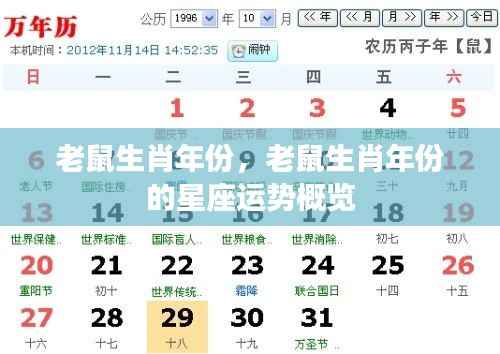 老鼠生肖年份运势概览与星座运势分析