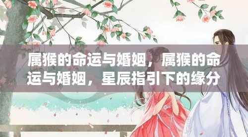 属猴命运与婚姻，星辰指引下的缘分际遇探索