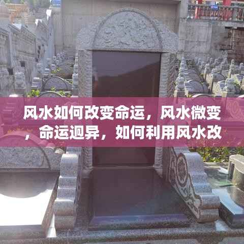 一本正经 第6页