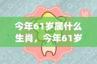 今年61岁属相运势展望与个性解析