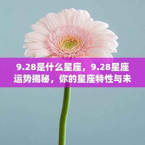 28星座运势揭秘，特性与未来展望