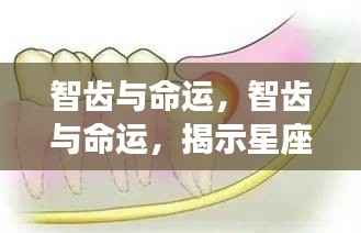 夫贵妻荣 第5页