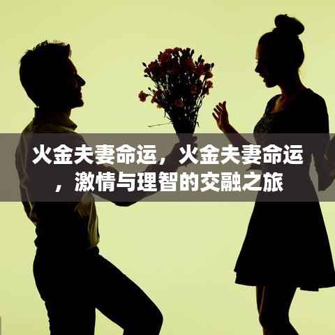 火金夫妻命运，激情与理智的交融之旅