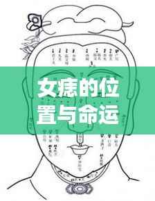女痣位置与命运解析，揭示痣点与命运图的奥秘关联