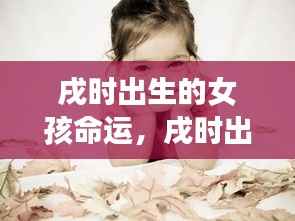 戌时出生的女孩命运，星辰魅力下的独特命运之旅