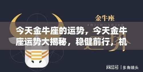 金牛座的今日运势揭秘，稳健前行，机遇与挑战并存