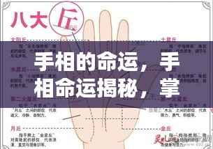 手相命运揭秘，掌纹里的生命奥秘探索