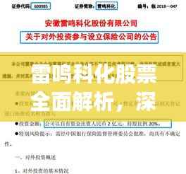 雷鸣科化股票全面解析，深度评价与前景展望