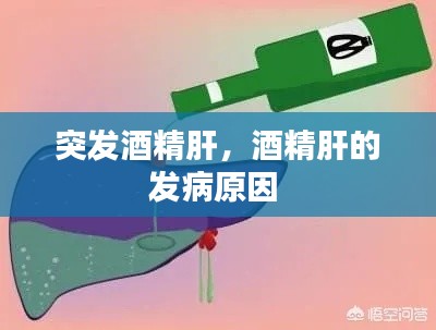 就事论事 第5页