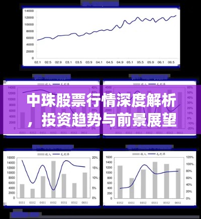 中珠股票行情深度解析，投资趋势与前景展望