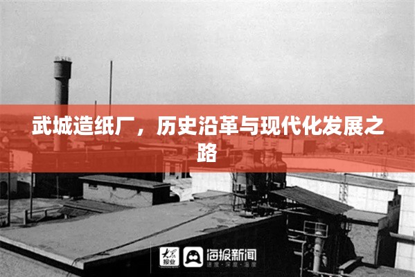 武城造纸厂，历史沿革与现代化发展之路