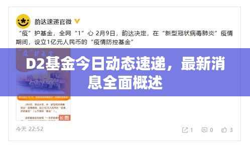 D2基金今日动态速递，最新消息全面概述