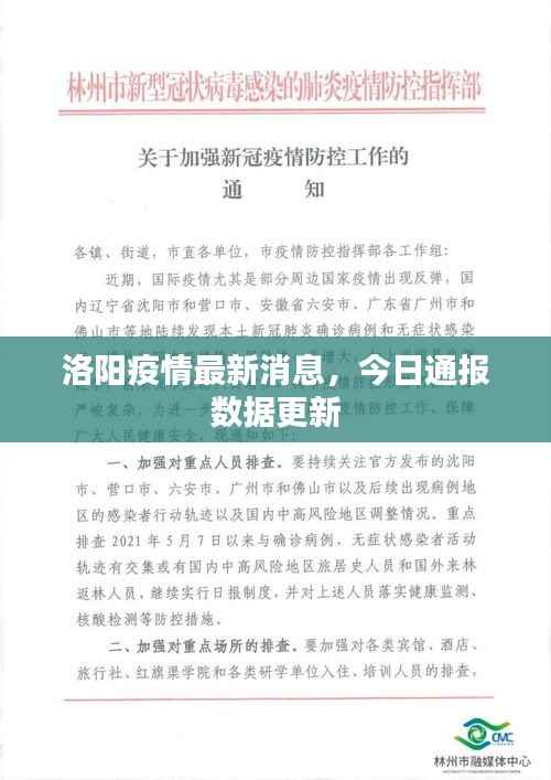 瑞雪飞舞 第4页